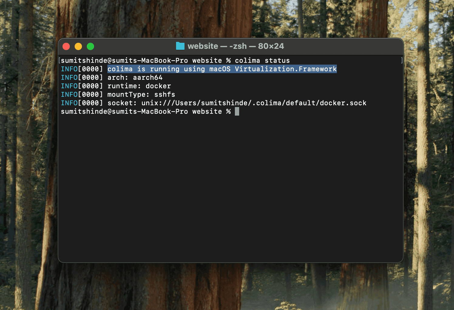 CLI: Showing the result of colima status